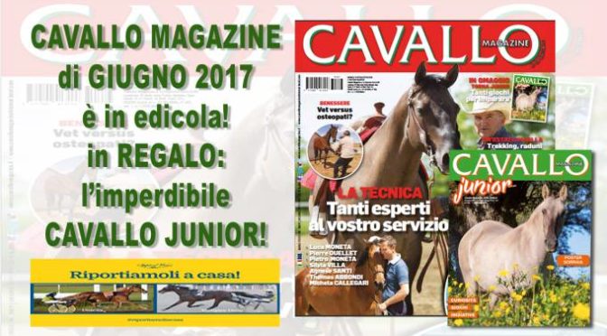 Cavallo Magazine: cavalli Tolfetani, mandrie e libertà