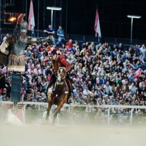 Quintana di Foligno, cavallo muore dopo caduta in gara